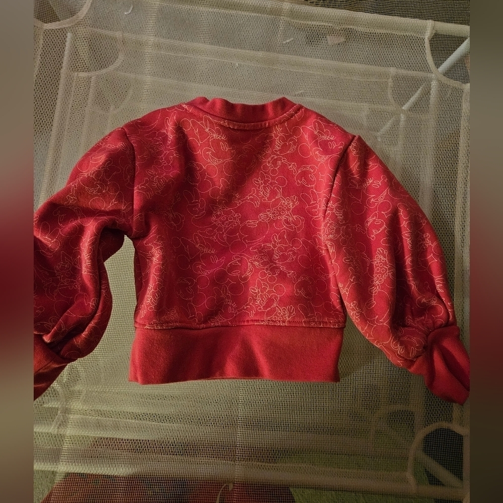 Disney Minnie and Micky Mouse Sweatshirt Size Kids 4 - Picture 2 of 4